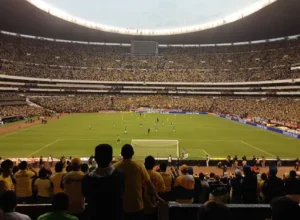 湖人见证东,契奇三双壮,队史仅四人,双赢彩票,彩票平台,双重保障,安全购彩,在线投注